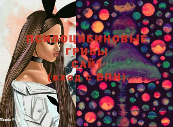 прущие крисы Бронницы