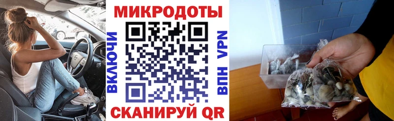 Псилоцибиновые грибы Psilocybine cubensis  Купить  Мегион 